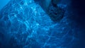 Overhead shot of a woman\'s feet submerged in blue water in a tub