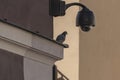Overhead Surveillance CCTV security camera