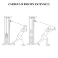 Overhead triceps extension exercise strength workout vector illustration outline Royalty Free Stock Photo