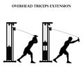 Overhead triceps extension exercise strength workout vector illustration silhouette Royalty Free Stock Photo