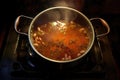 overhead view of boiling pot of soup on stove Royalty Free Stock Photo