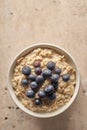 Overhead View of Bowl of Oatmeal with Blueberries on Top Copy Space