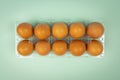 Overhead view of brown chicken eggs in an open egg box isolated on turquoise Royalty Free Stock Photo