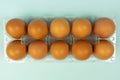 Overhead view of brown chicken eggs in an open egg box isolated on turquoise Royalty Free Stock Photo