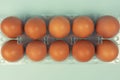 Overhead view of brown chicken eggs in an open egg box isolated on turquoise Royalty Free Stock Photo