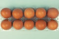 Overhead view of brown chicken eggs in an open egg box isolated on turquoise Royalty Free Stock Photo