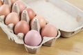 Overhead view of brown chicken eggs in an open egg carton. Fresh chicken eggs background