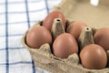 Overhead view of brown chicken eggs in an open egg carton. Fresh chicken eggs background