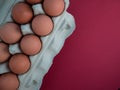 Overhead view of brown chicken eggs in an open egg carton isolated on dark red. Fresh chicken eggs background. Top view with copy Royalty Free Stock Photo