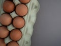 Overhead view of brown chicken eggs in an open egg carton isolated on gray. Fresh chicken eggs background. Top view with copy Royalty Free Stock Photo