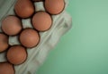 Overhead view of brown chicken eggs in an open egg carton isolated on green. Fresh chicken eggs background. Top view with copy Royalty Free Stock Photo