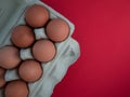 Overhead view of brown chicken eggs in an open egg carton isolated on red. Fresh chicken eggs background. Top view with copy space Royalty Free Stock Photo