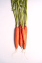 Overhead View Of Bunch Of Fresh Carrots With Tops On White Background Royalty Free Stock Photo