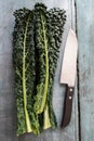 Overhead View Of Cavolo Nero Leaves With Knife On Wooden Background