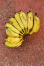 Overhead view of a bunch of bananas Royalty Free Stock Photo