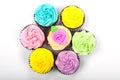 Overhead View of Cupcakes With Colorful Icing or Frosting Royalty Free Stock Photo