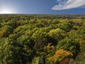 Overhead view of dense forest Royalty Free Stock Photo