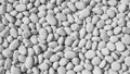 Overhead View of a Dense Pile of Smooth White Oval Pebbles and Stones 20251228 529 Royalty Free Stock Photo
