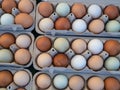 Overhead view of dozen of white and brown eggs sitting in carton