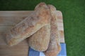 Overhead view food image of fresh home made artisan ciabatta bread on a wood board with outdoor green grass background