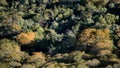 Overhead view of a forest Royalty Free Stock Photo