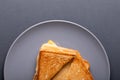 Overhead view of fresh cheese toast sandwich served in plate on blue background Royalty Free Stock Photo