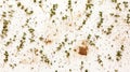 Overhead view of fresh thyme sprigs and thyme seeds scattered on a white surface with soft lighting Royalty Free Stock Photo