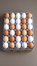 Overhead view of fresh white and brown chicken eggs in a full thirty count carton Royalty Free Stock Photo