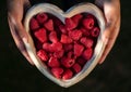 Young Woman Hands Holding Heart Shaped Bowl of Raspberries Royalty Free Stock Photo