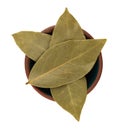 Top view of a group of bay leaves in a small bowl isolated on a white background
