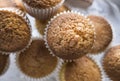 Overhead view of a group of freshly baked cupcakes.