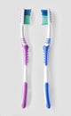 His and Hers toothbrushes Royalty Free Stock Photo