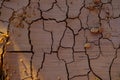 An overhead view of a natural mosaic formed by cracks in dry clay soil. Dead nature. Drought. Background and texture Royalty Free Stock Photo