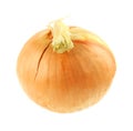 Overhead View Onion