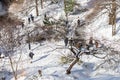 Above View of People Enjoying a Beautiful Winter Day at Central Park with Snow in New York City Royalty Free Stock Photo