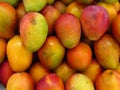 Overhead view of a pile of multicolored fresh mangoes at a fruit market