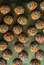 Overhead view of rows of small round cookies covered with colorful sprinkles