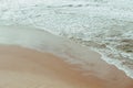 Overhead View of Sand piper birds on a sandy beach in Pacifica, California, USA