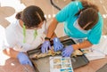 Overhead View of Shark Dissection and Instructions