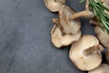 Overhead view of Shiitake Mushrooms on grey background Royalty Free Stock Photo