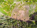 Aerial View of a Recently Felled Forest Royalty Free Stock Photo