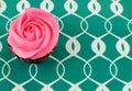 Overhead view of a single cupcake with rose shaped pink