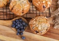 Spoonful of Blueberries and Blueberry Muffins Royalty Free Stock Photo