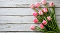 Overhead view of a springtime pink tulips on white weathered wooden boards, top view