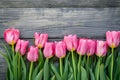 Overhead view of a springtime pink tulips on white weathered wooden boards, top view