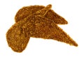 Top view of three slices of duck jerky isolated on a white background