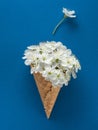 Overhead view to white cherry flowers into waffle cone with flying petals in vertical frame