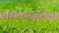 Overhead view on trace in overgrown ground of dismantled old railway wooden sleepers Royalty Free Stock Photo