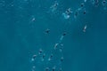Overhead view of triathlon swimmers during competition Royalty Free Stock Photo