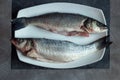 Overhead view of two pieces of sea bass on a white ceramic platter with a vintage black and gray marble texture background. Royalty Free Stock Photo